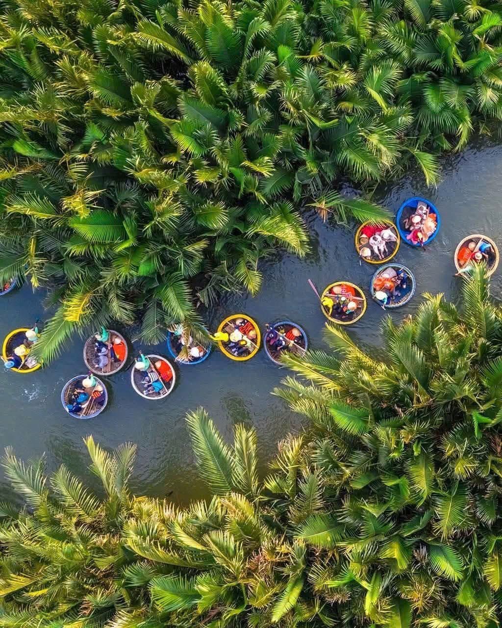 Rừng Dừa Bảy Mẫu